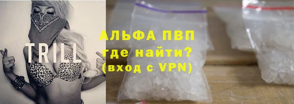молекула духа Ладушкин