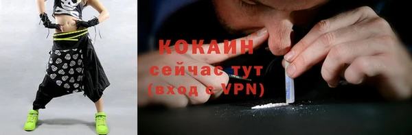 молекула духа Ладушкин