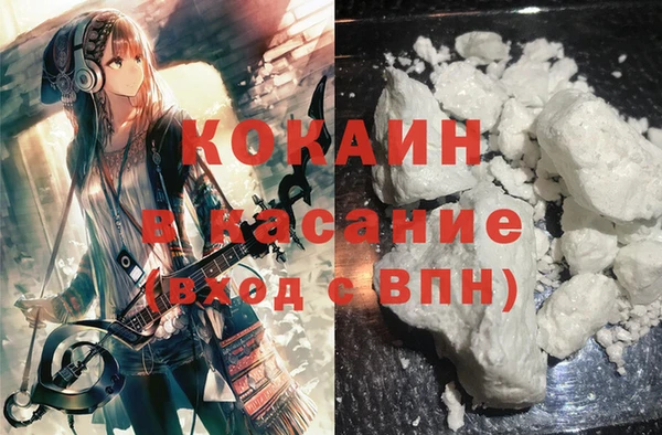 молекула духа Ладушкин