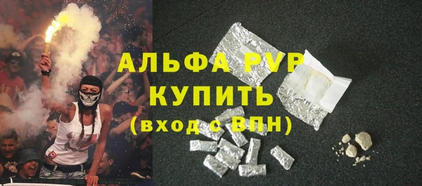 молекула духа Ладушкин