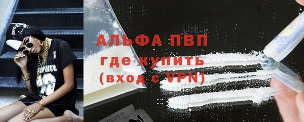 молекула духа Ладушкин