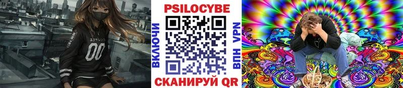 Купить закладки  Новое Девяткино  Псилоцибиновые грибы Cubensis 